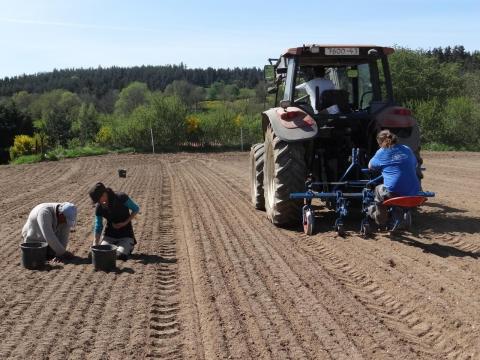 semis de légumes bio Ateliers de Saugues 